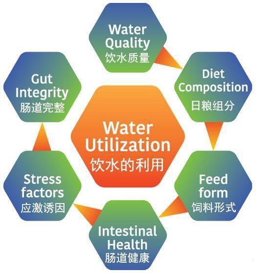 無處不在的水線問題，凈化刻不容緩——二甲酸鉀來解決
